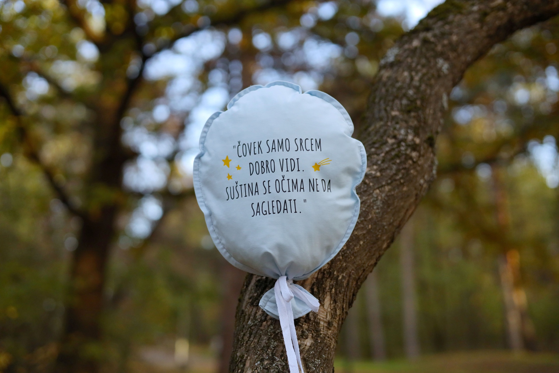 Balon Mali Princ - Dečja soba, slika 2
